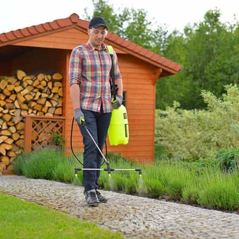 Drucksprüher mit 3-strahligem Flächensprüharm – Gehwegreinigung und Flächenbehandlung Marolex Drucksprühers mit 3-strahligem Flächensprüharm beim Sprühen eines Gehwegs – ideal für die gezielte Reinigung von Pflastersteinen und Flächenbehandlung gegen Moos und Algen