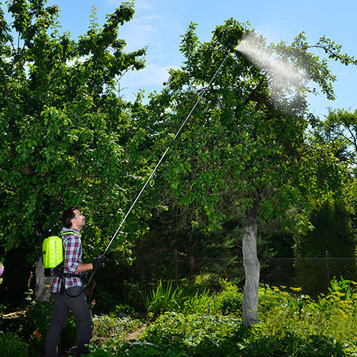 T300 Teleskop Sprühlanze bis 3 Meter im Gartenbereich