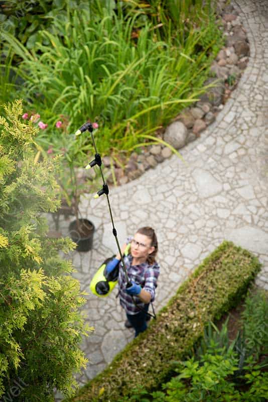 Marolex Drucksprühers mit vertikalem 3-strahligem Flächensprüharm beim Besprühen hoher Pflanzen oder Bäume – ideal für gezielte Behandlung und Pflanzenschutz im Garten