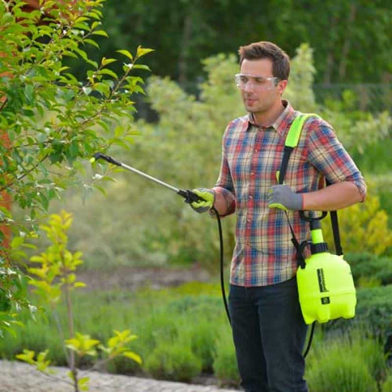 Marolex Drucksprüher – Pflanzenpflege und Pflanzenschutz im Garten Marolex Drucksprühers beim Besprühen eines Baumes im Garten – ideal für Pflanzenschutz, Bewässerung oder Düngung, mit ergonomischem Tragegurt und verstellbarer Sprühlanze